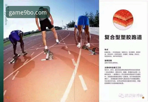 九博体育官网网址 九博体育平台实用指南:官网网址获取与功能全解析