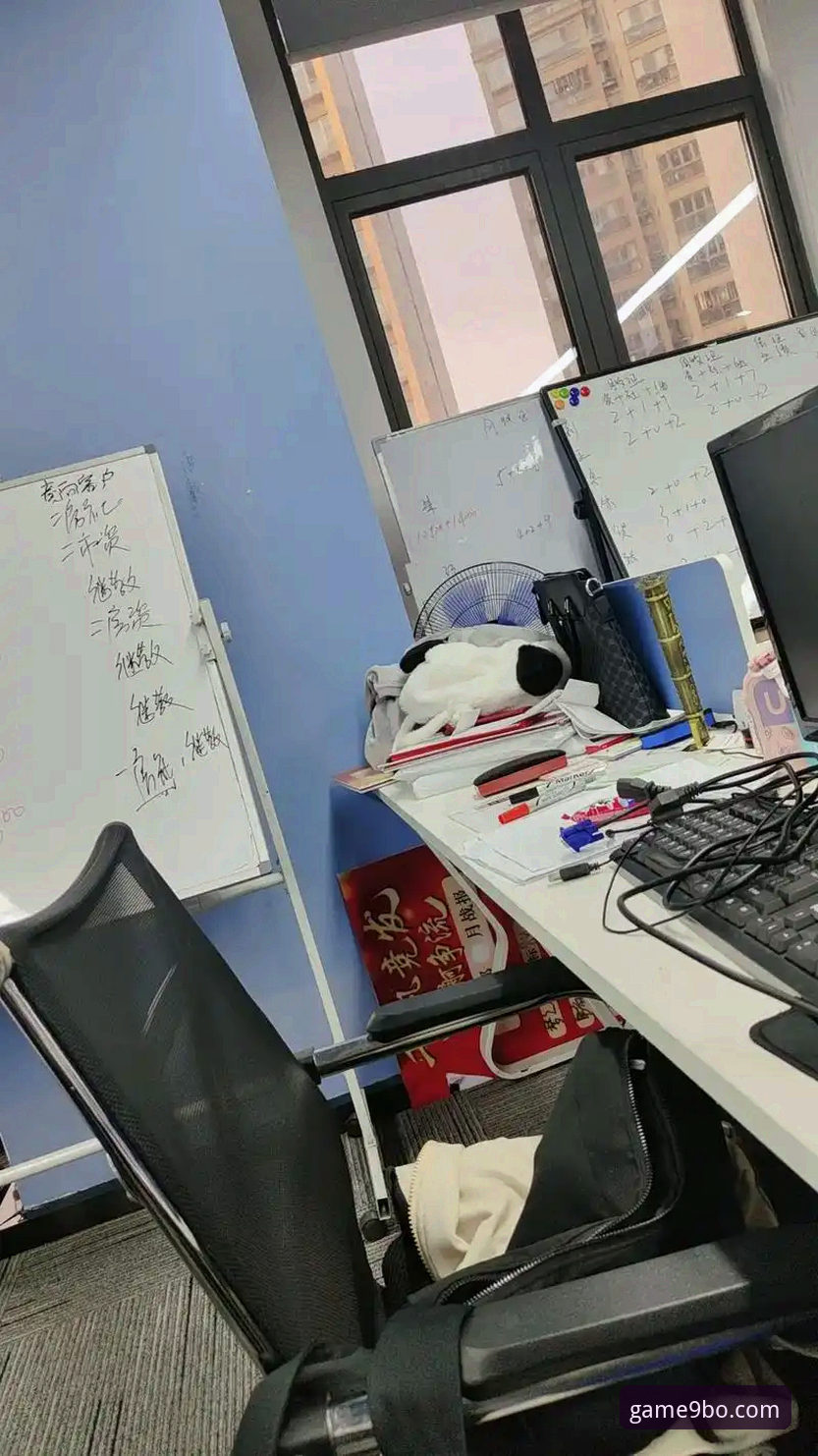 九博体育官网注册 揭秘九博体育平台:注册背后的全新体验与功能升级真相
